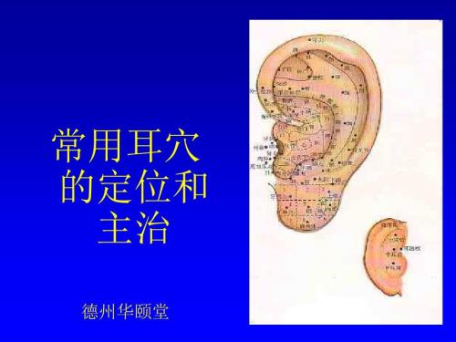 常用耳穴的定位和主治分解.ppt