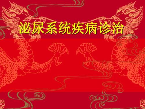 泌尿系统疾病诊治PPT课件.ppt