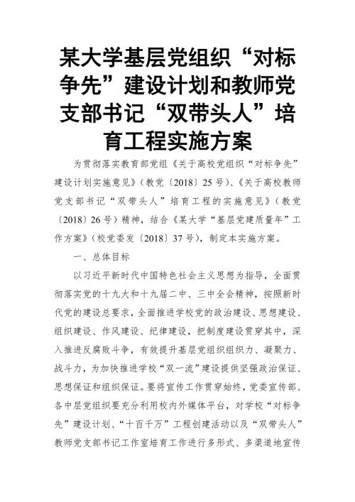 某大学基层党组织对标争先建设计划和教师党支部书记双带头人培育工程实施方案推荐.doc