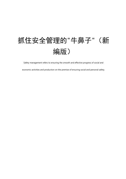 抓住安全管理的牛鼻子新编版.doc