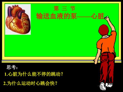 心脏血液循环PPT课件.ppt