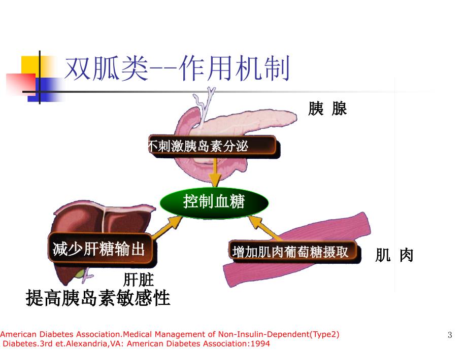 常用降糖药物PPT课件.ppt_第3页