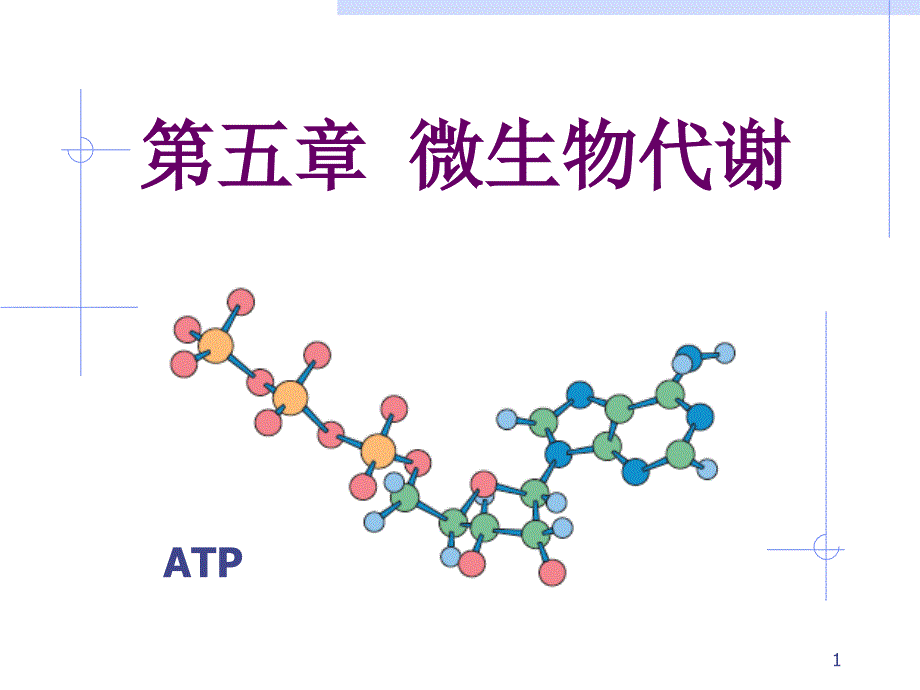 微生物代谢PPT课件.ppt_第1页