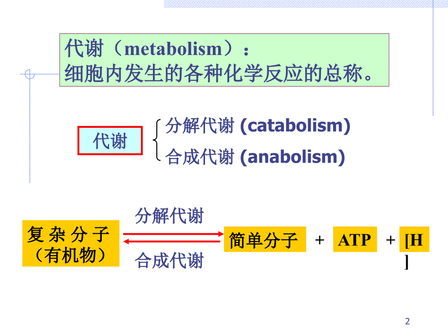 微生物代谢PPT课件.ppt_第2页