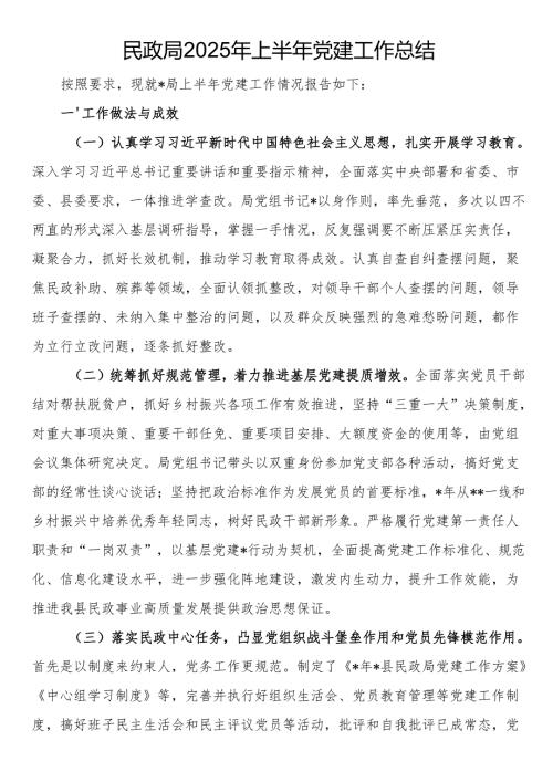 民政局2025年上半年党建工作总结.docx