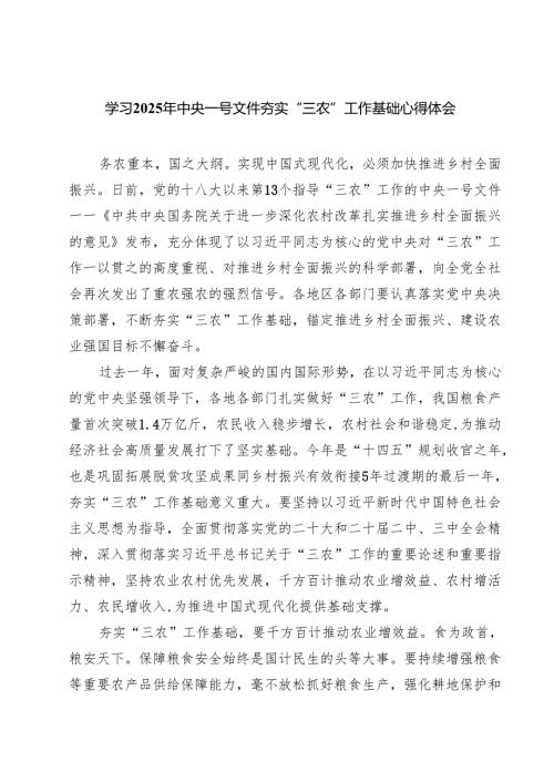 学习2025年中央一号文件夯实“三农”工作基础心得体会精选（5篇）.docx
