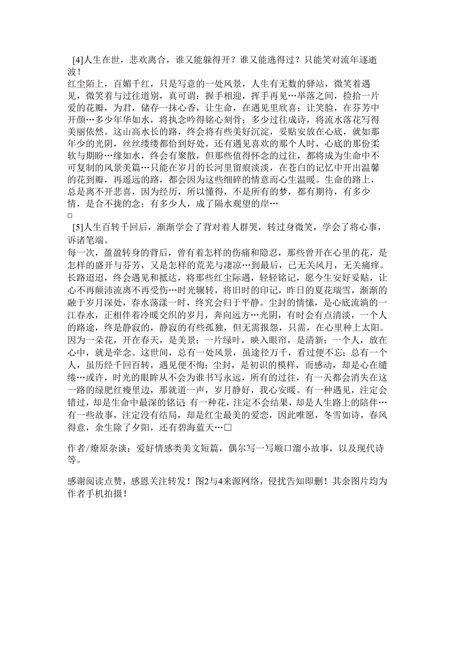 描写天的短篇美文(形容柳树的诗句).docx_第2页