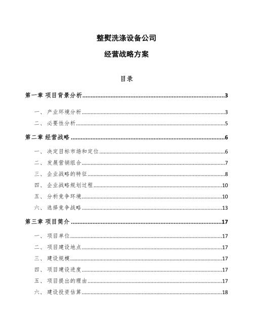 整熨洗涤设备公司经营战略方案.docx