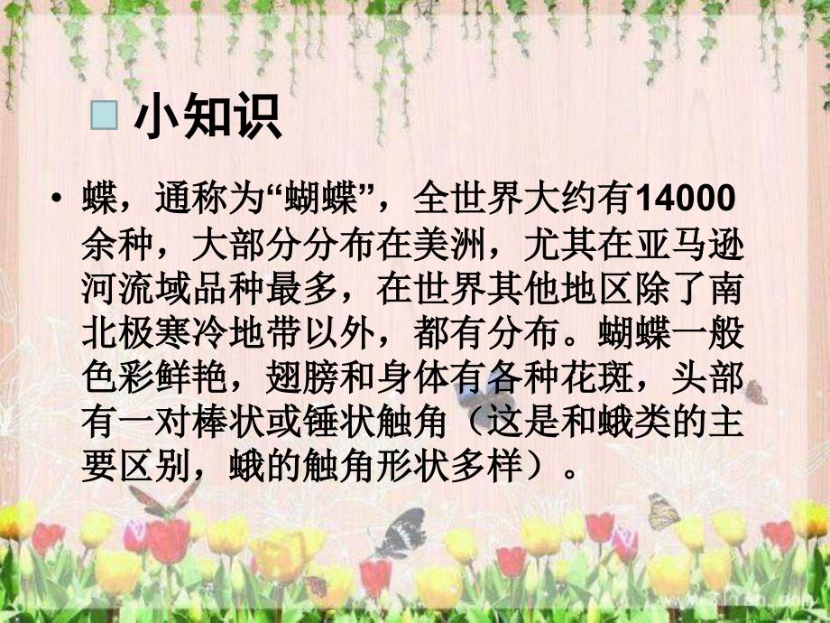 最新四年级上册美术课件第十四课蝴蝶落我家湘美版共22张PPT.pptx_第2页