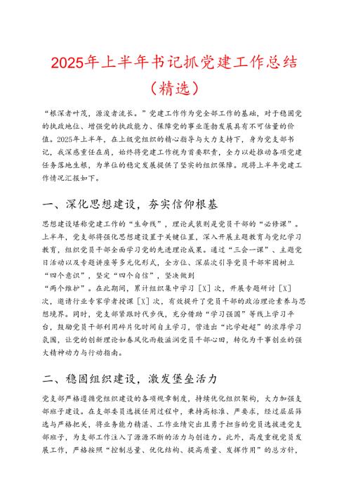 2025 年上半年书记抓党建工作总结（精选）.docx