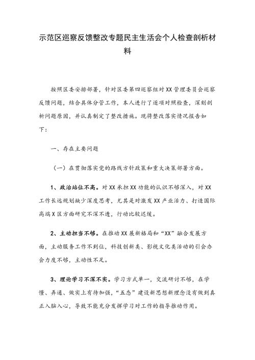 示范区巡察反馈整改专题民主生活会个人检查剖析材料二.docx