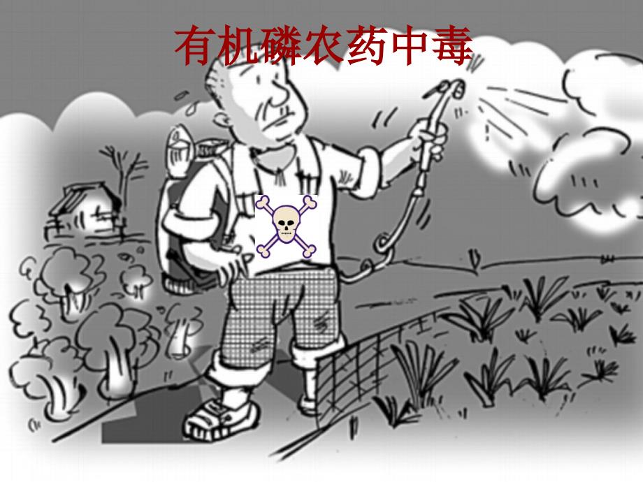 有机磷农药中毒护理查房.ppt_第1页
