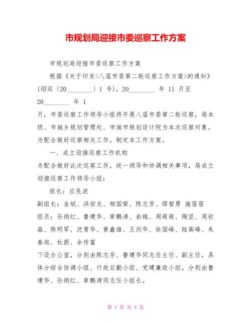 市规划局迎接市委巡察工作方案.doc
