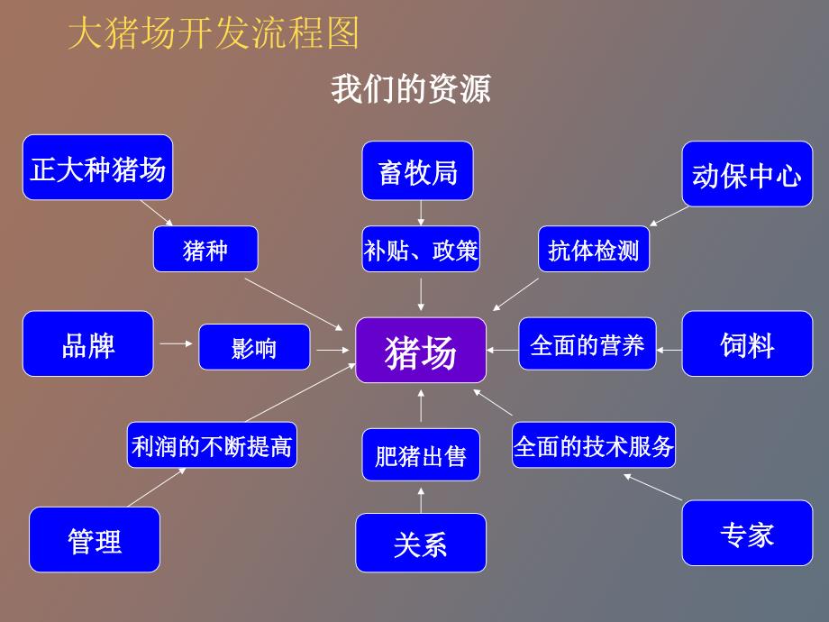 正大集团大猪场开发流程.ppt_第3页