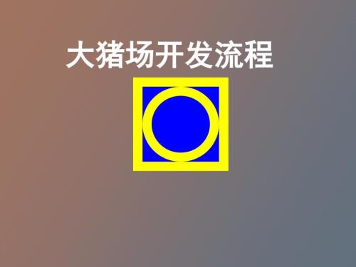 正大集团大猪场开发流程.ppt