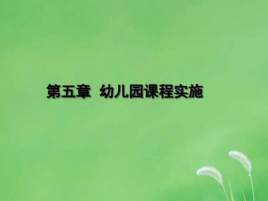 幼儿园课程的实施.ppt_第1页