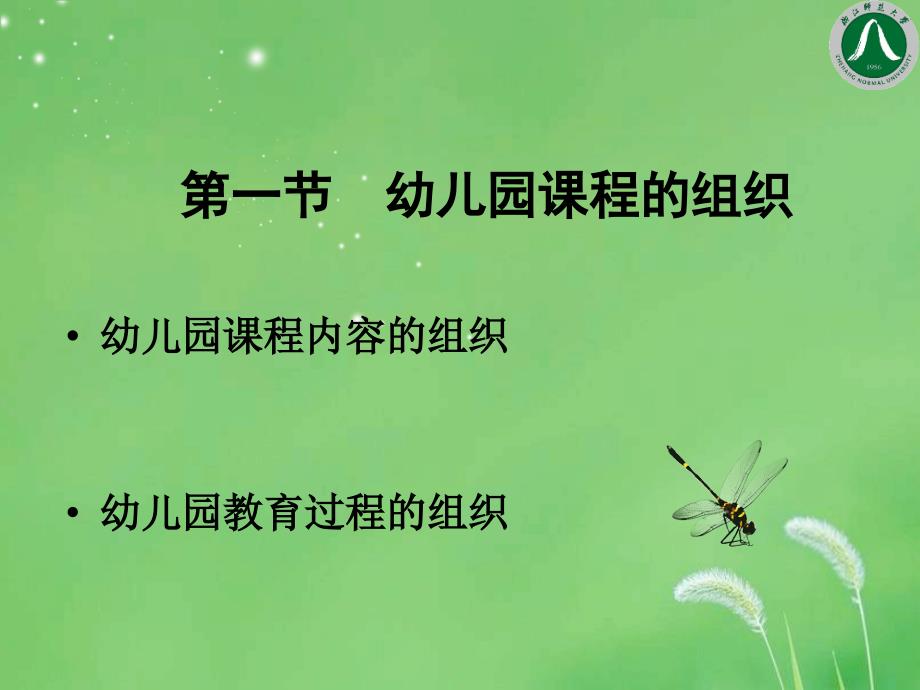 幼儿园课程的实施.ppt_第2页