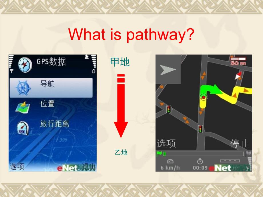 心血管内科基本诊疗路径介绍.ppt_第2页
