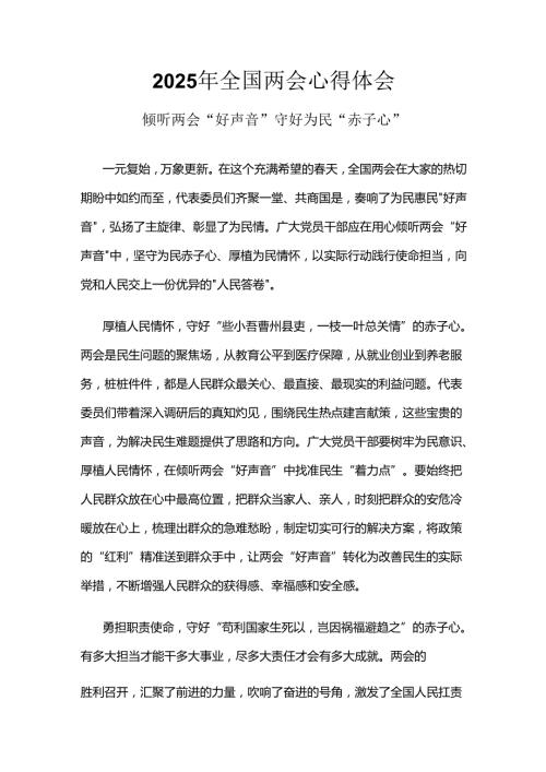2025年两会发言稿6篇.docx