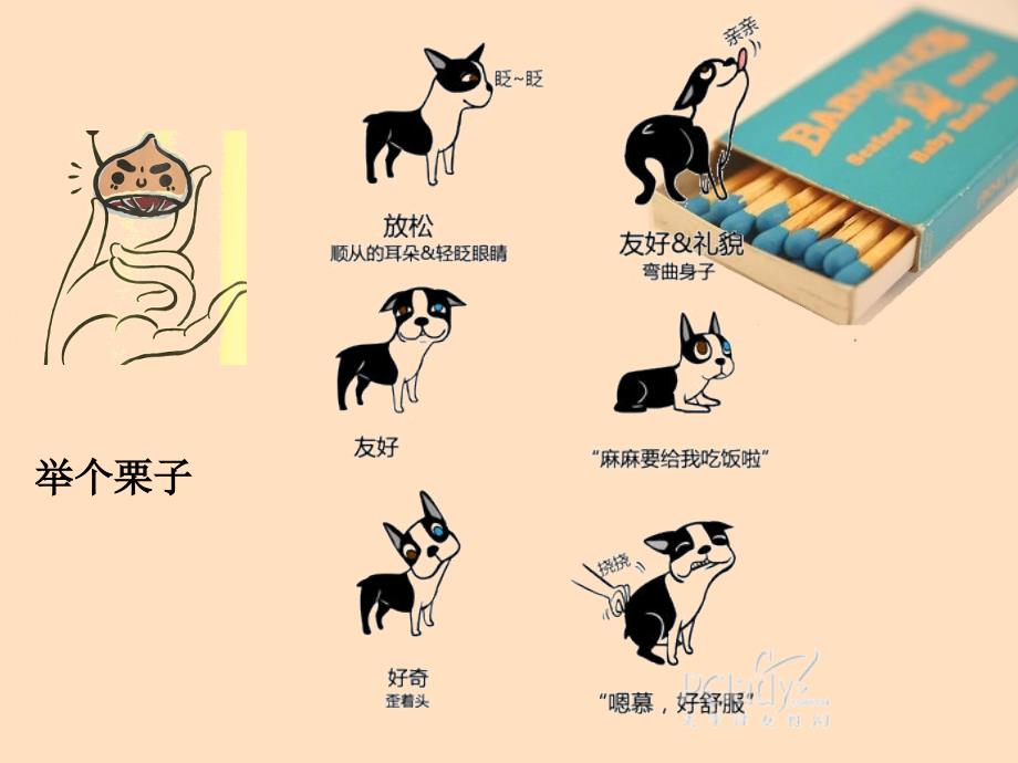 我的身体会说话PPT课件.ppt_第2页