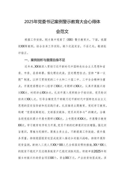 2025年党委书记案例警示教育大会心得体会范文.docx