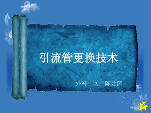 引流管更换技术PPT课件.ppt