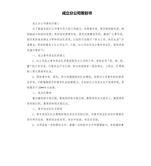成立分公司策划书.docx