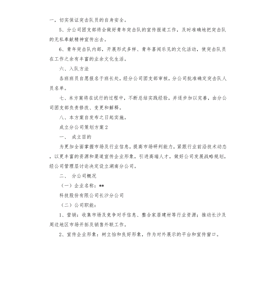 成立分公司策划书.docx_第3页
