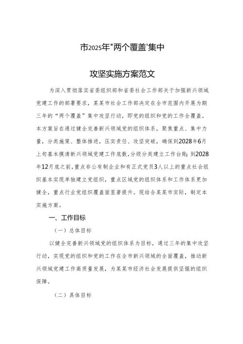 2025年“两个覆盖”集中攻坚实施方案范文.docx