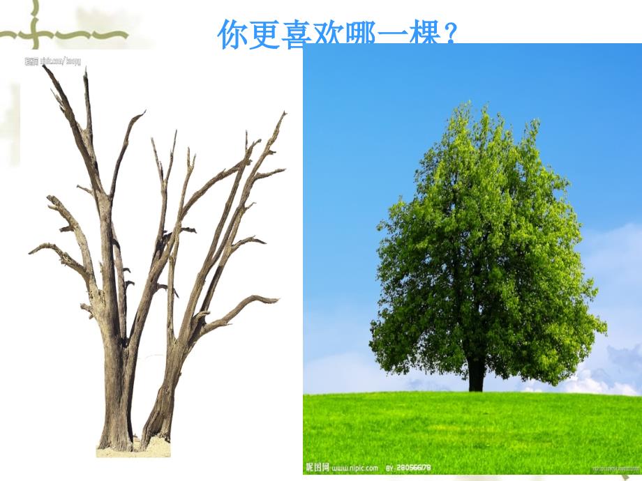 扩句和缩句PPT课件.ppt_第2页