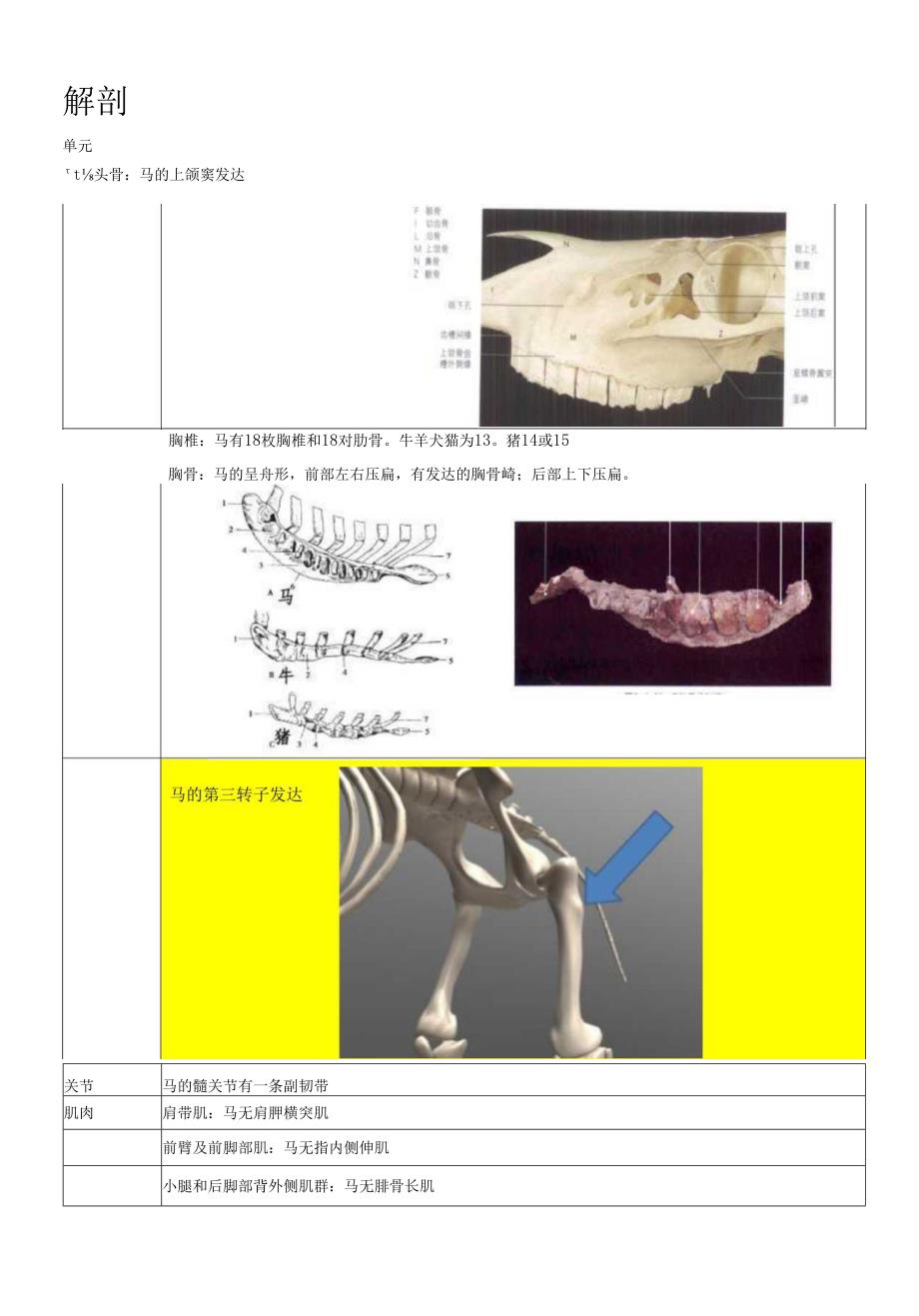 马与其他动物的区别.docx_第1页