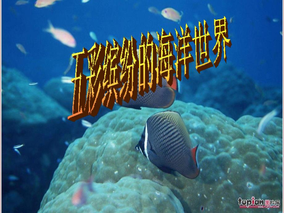 海洋科普知识PPT课件.pptx_第1页
