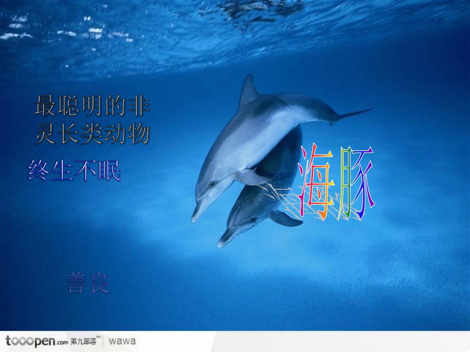 海洋科普知识PPT课件.pptx_第2页