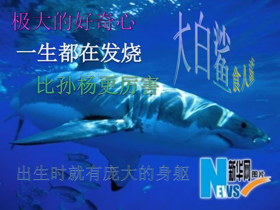 海洋科普知识PPT课件.pptx_第3页