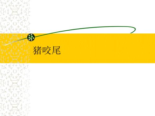 猪咬尾的原因分析PPT课件.ppt