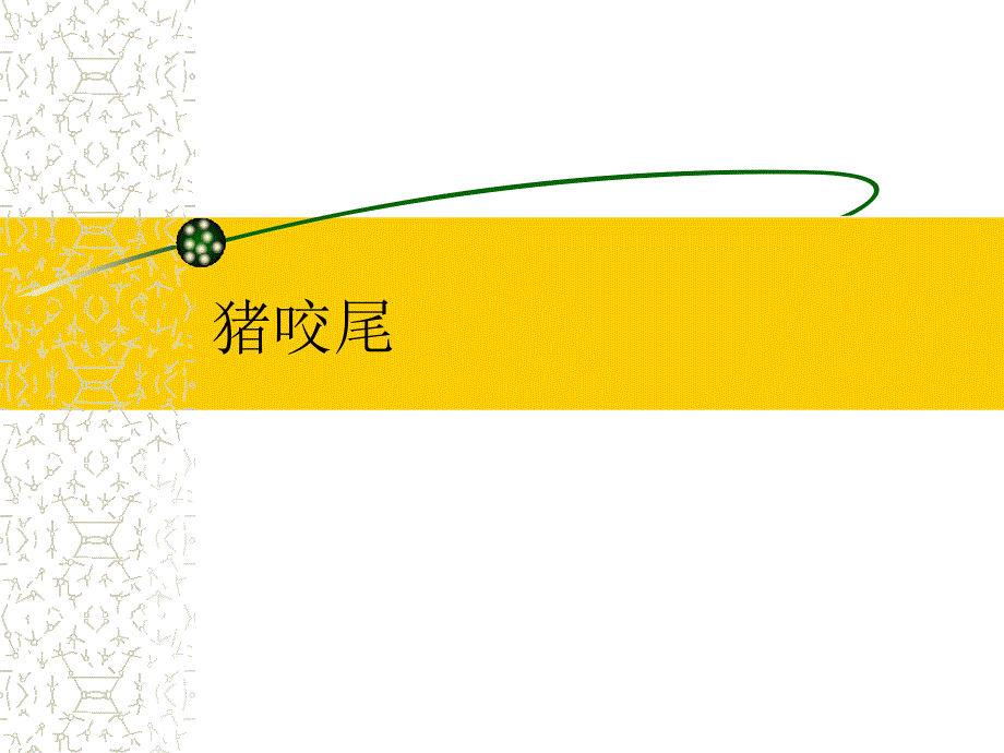 猪咬尾的原因分析PPT课件.ppt_第1页