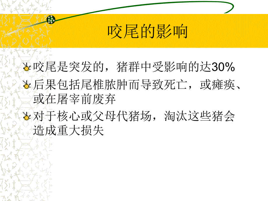 猪咬尾的原因分析PPT课件.ppt_第3页
