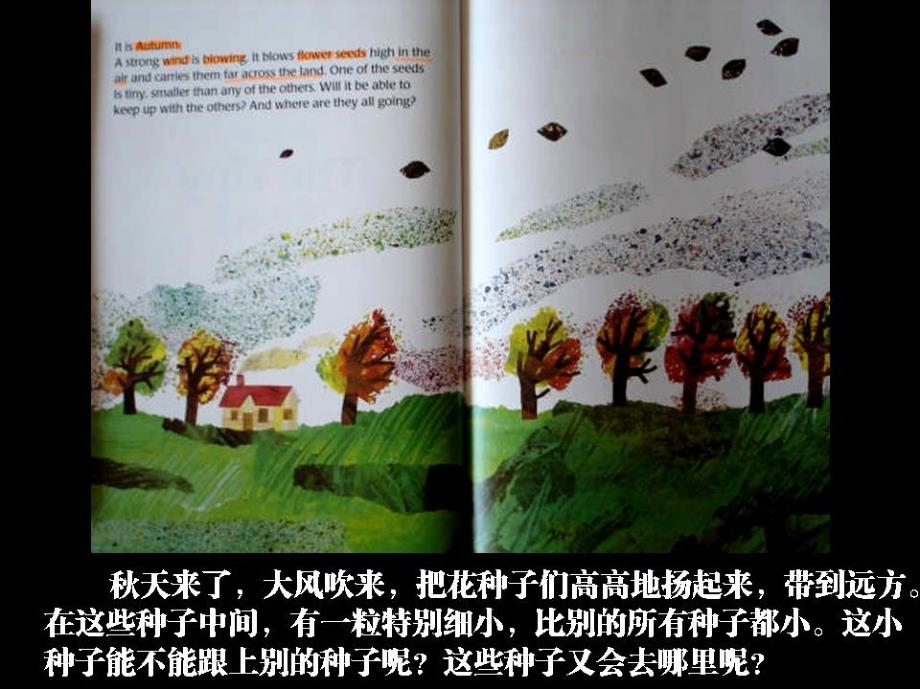 幼儿绘本故事小种子ppt课件.ppt_第2页