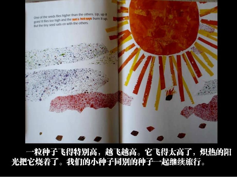 幼儿绘本故事小种子ppt课件.ppt_第3页