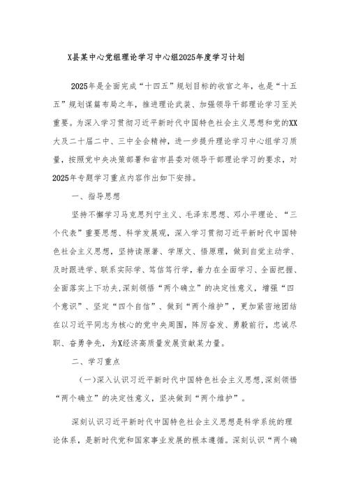 X县某中心党组理论学习中心组2025学习计划.docx