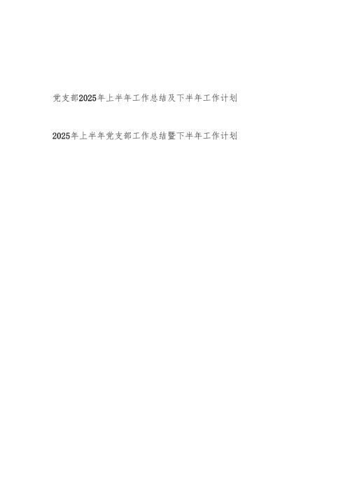 党支部2025年上半年工作总结及下半年工作计划2篇.docx