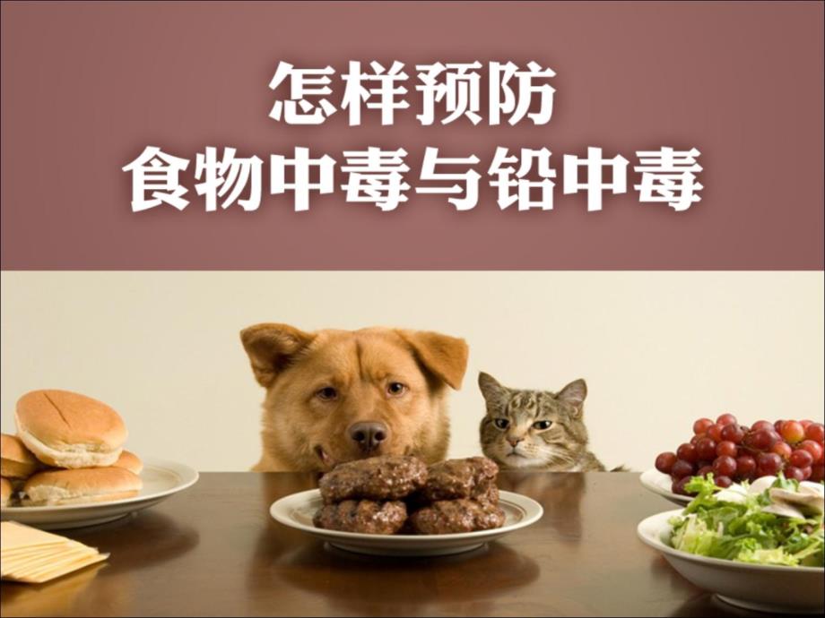 怎样预防食物中毒与铅中毒.ppt_第1页