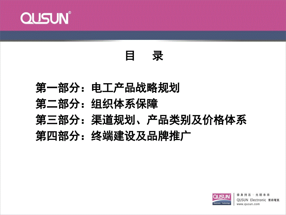 电工产品营销方案.ppt_第2页