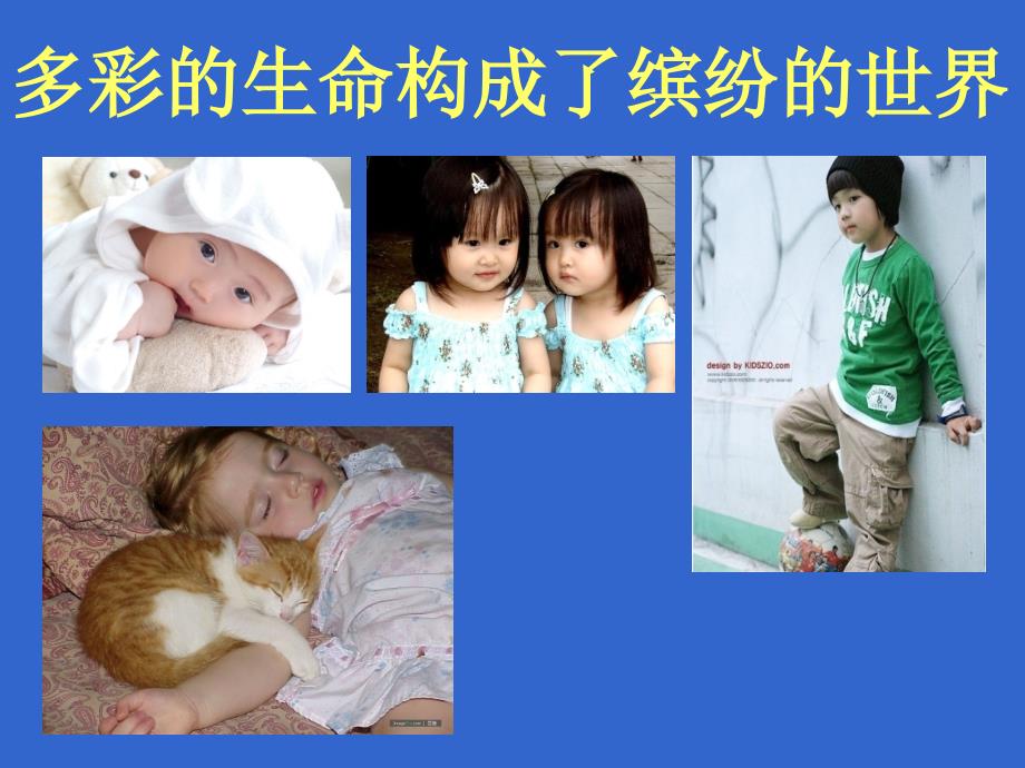 感恩父母珍爱生命.ppt_第3页