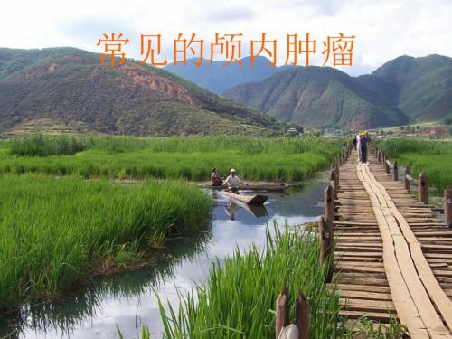 常见的颅内肿瘤ppt课件.ppt