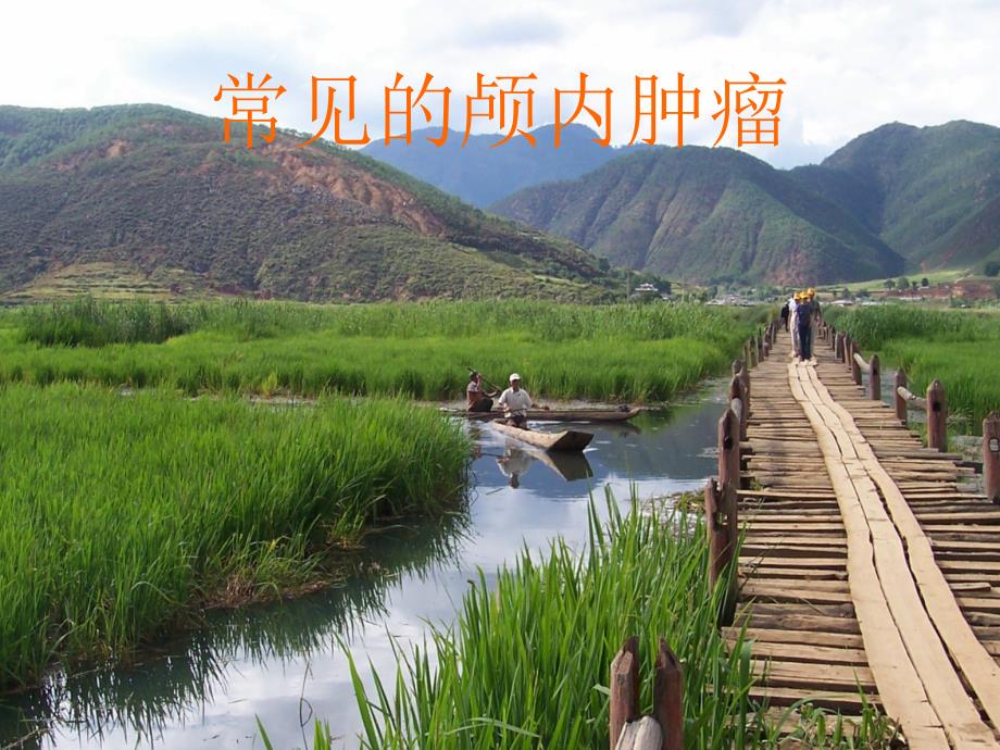 常见的颅内肿瘤ppt课件.ppt_第1页