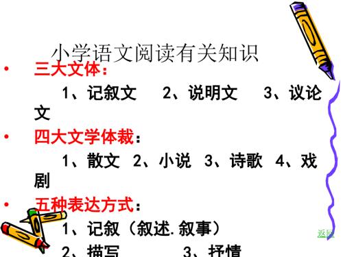 小学阅读课件.ppt