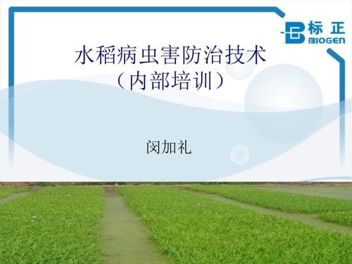 水稻病虫害防治PPT课件.ppt