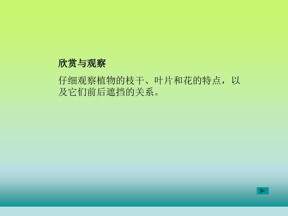 植物写生PPT课件.ppt_第3页