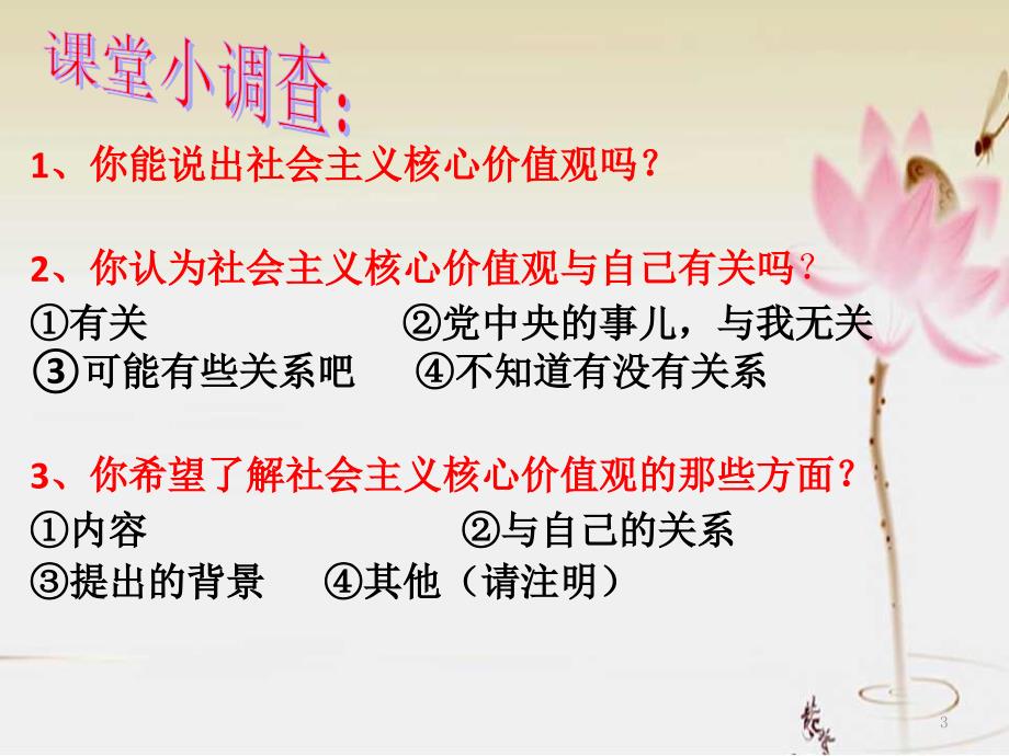 思修课大学生与社会主义核心价值观ppt课件.pptx_第3页